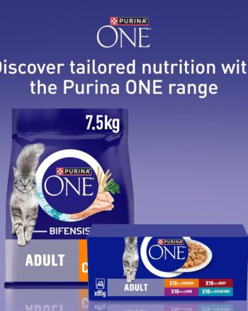 PURINA ONE Mini Fillets Ocean Fish and Lamb Adult Wet Cat Food 8x85g (Pack of 5)